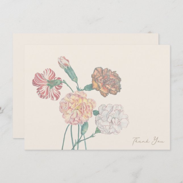 Thank You Card Note Tan Beige Carnation Flower  (Front/Back)