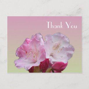Thank you card, pink rhododendron flowers postcard
