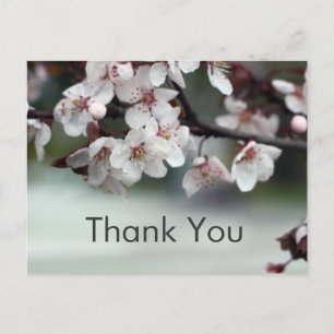thank you card plum flowers