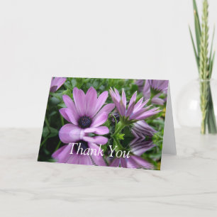 thank you card,purple daisy flowers card
