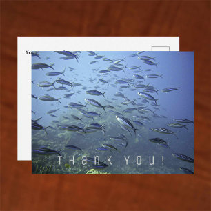 Thank You Card. Shoal of Fish. Diving Underwater. Postcard