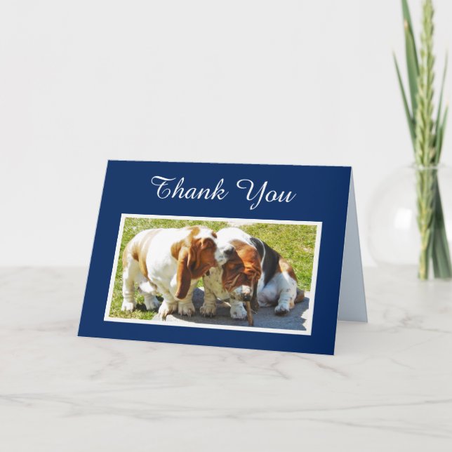 "Thank You" Card w/Cute Basset Hounds (Front)