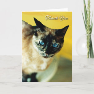 Thank You Card with Mottled Coloured Siamese Cat
