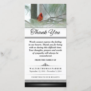 Thank You Cardinal Bird Words Cannot Express Card