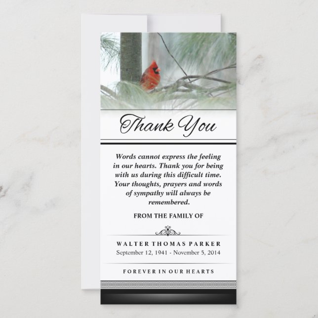 Thank You Cardinal Bird Words Cannot Express Card (Front)