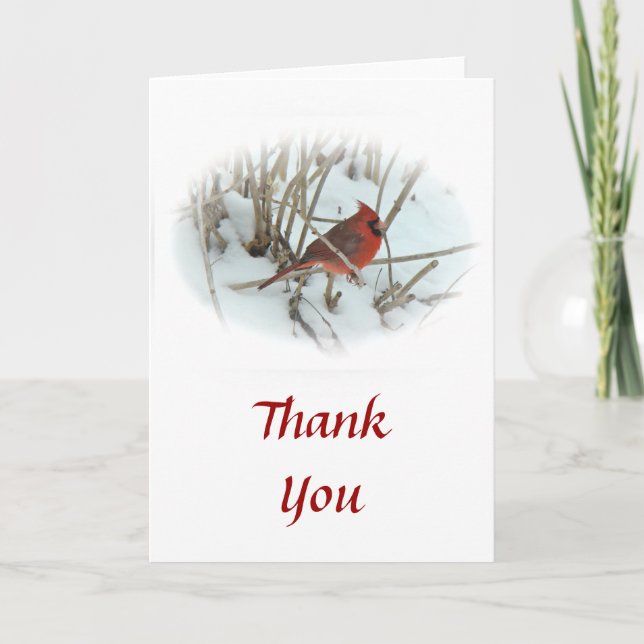 Thank You Cardinal Songbird Card (Front)