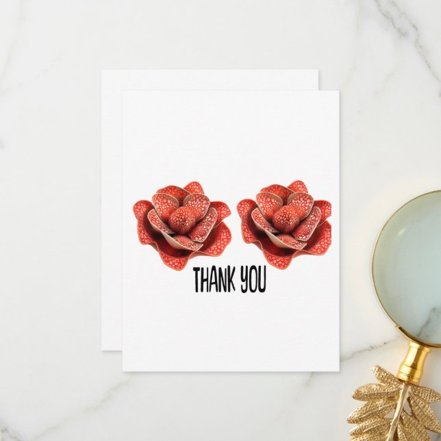 THANK YOU CARDS (Front/Back In Situ)