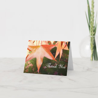 Thank You Cards - Autumn Leaves