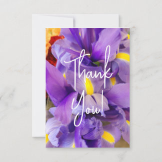 Thank You Cards Purple Tulip Flowers