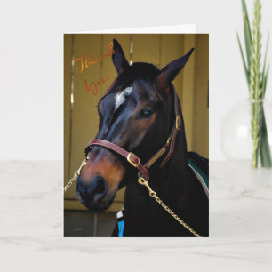 Thank You caring appreciation horse thanks Card