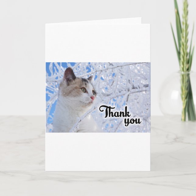 Thank You Cat Card (Front)