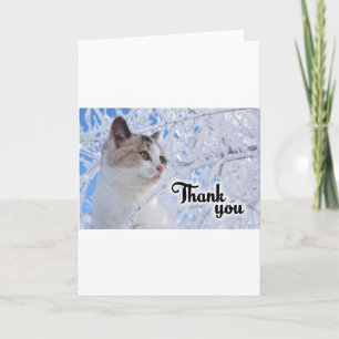 Thank You Cat Card
