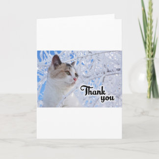 Thank You Cat Card