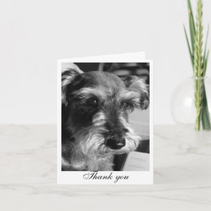 Thank you (Charmin) Card