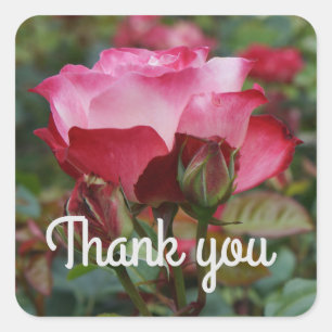 Thank You Cherry Parfait Rose #1-2 Square Sticker