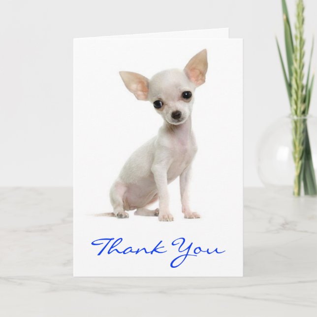Thank You Chihuahua Puppy Dog Greeting Card (Front)