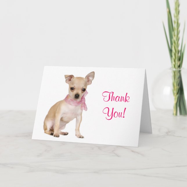 Thank You  Chihuahua Puppy Dog Greeting Card (Front)