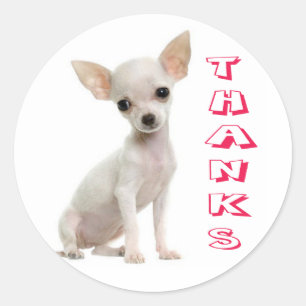 Thank You Chihuahua Puppy Dog Stickers / Seals