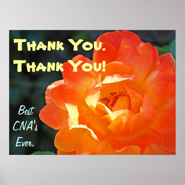 Thank You! CNA art prints posters Best Nursing CNA (Front)