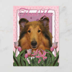 Thank You - Collie - Natalie Postcard