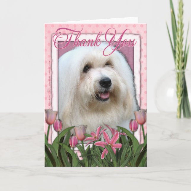 Thank You - Coton de Tulear Card (Front)