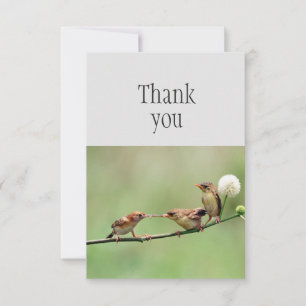 Thank You Cute Bird Parent Baby Birds