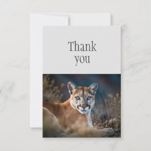 Thank You Cute Cougar Mountain Lion Wild Cat