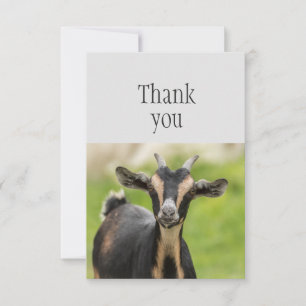 Thank You Cute Farm Animal Goat Card
