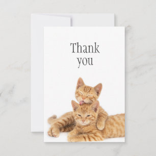 Thank You Cute Orange Tabby Cat Kittens
