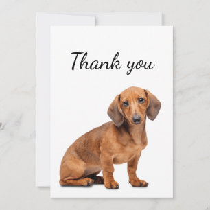 Thank You Dachshund Dog Pet Animal
