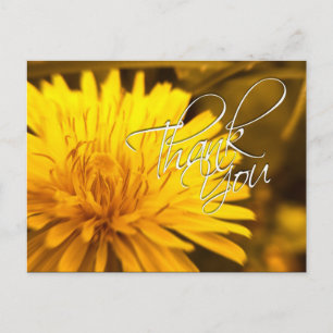 Thank You Dandelion Yellow Flower Postcard