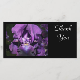 Thank You-Deep Purple Iris You Card
