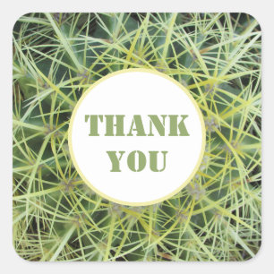 Thank You Desert Plant Photo Barrel Cactus Square Sticker