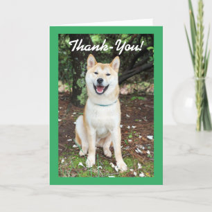 Thank-You Dog Thank You Card