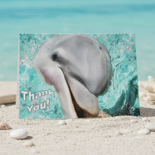 Thank You Dolphin Coastal Sea Life Card