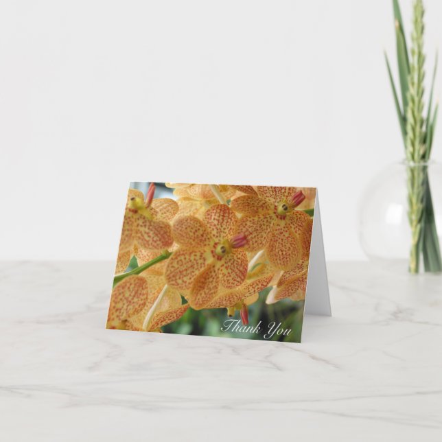 Thank You  Dotted Orchid (Blank Inside) Card (Front)