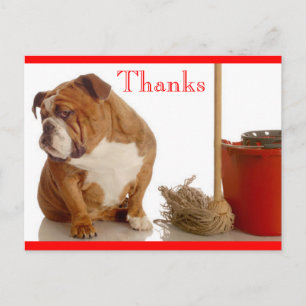 Thank You English Bulldog Pup Greeting Postcard