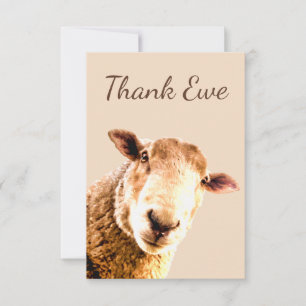 Thank You Ewe Sheep Animal Humour Card