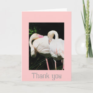 Thank you Flamingo bird greeting card