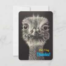 Thank You Flat Cards