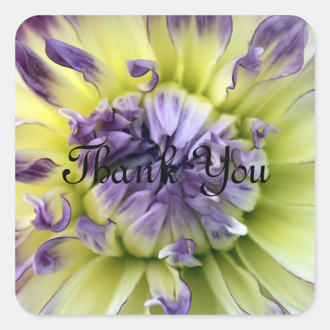 Thank You Flower Stickers (Front)
