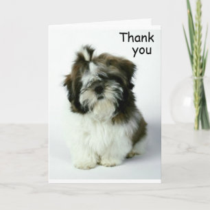 ***THANK YOU*** FOR ANY REASON THANK YOU CARD