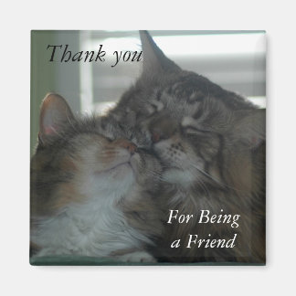 Thank you for being a friend Magnet