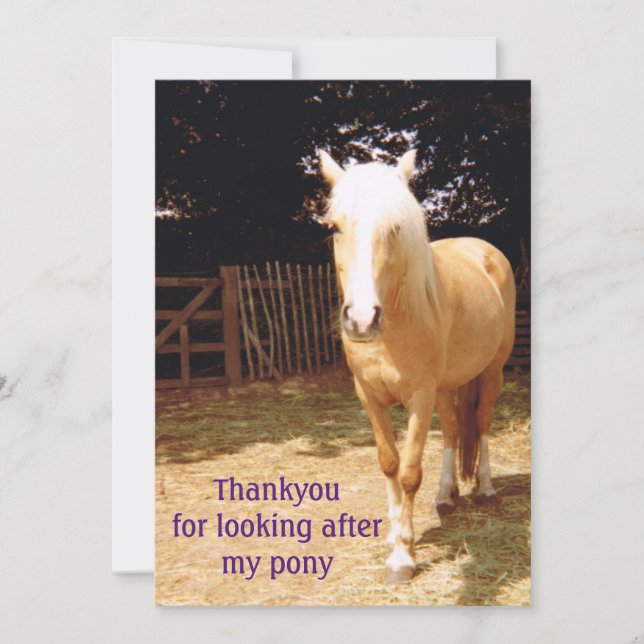 Thank you for looking after my pony card (Front)