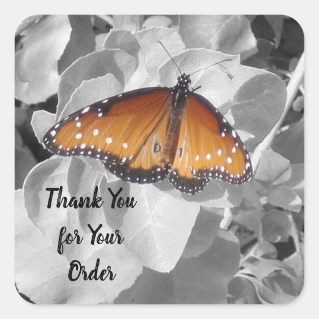 Thank You for Order Monarch Butterfly Business Square Sticker (Front)
