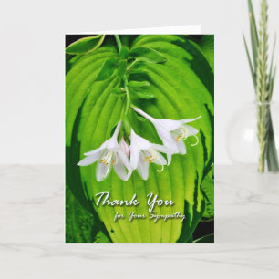Thank You for Sympathy, Hosta Blooms Card
