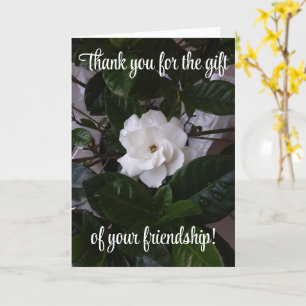 Thank you for the gift of your friendship! card