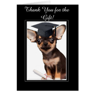 Thank You for the Graduation Gift Chihuahua card