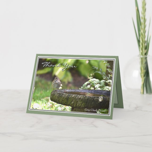 Thank you for the Wonderful Time Greeting Card (Front)