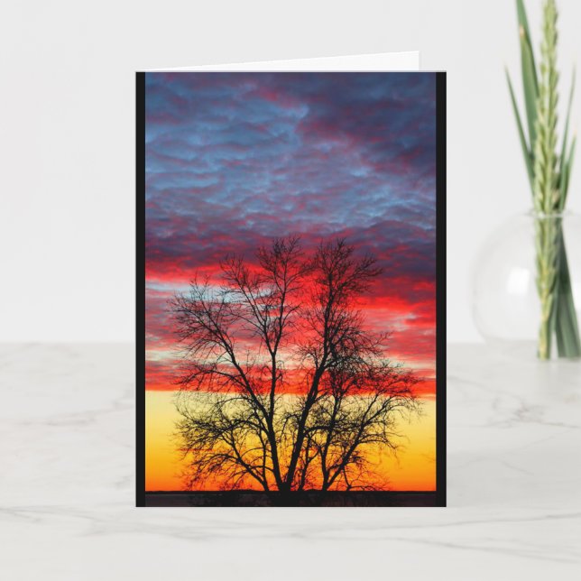 Thank You For Your Service To Our Country Card (Front)